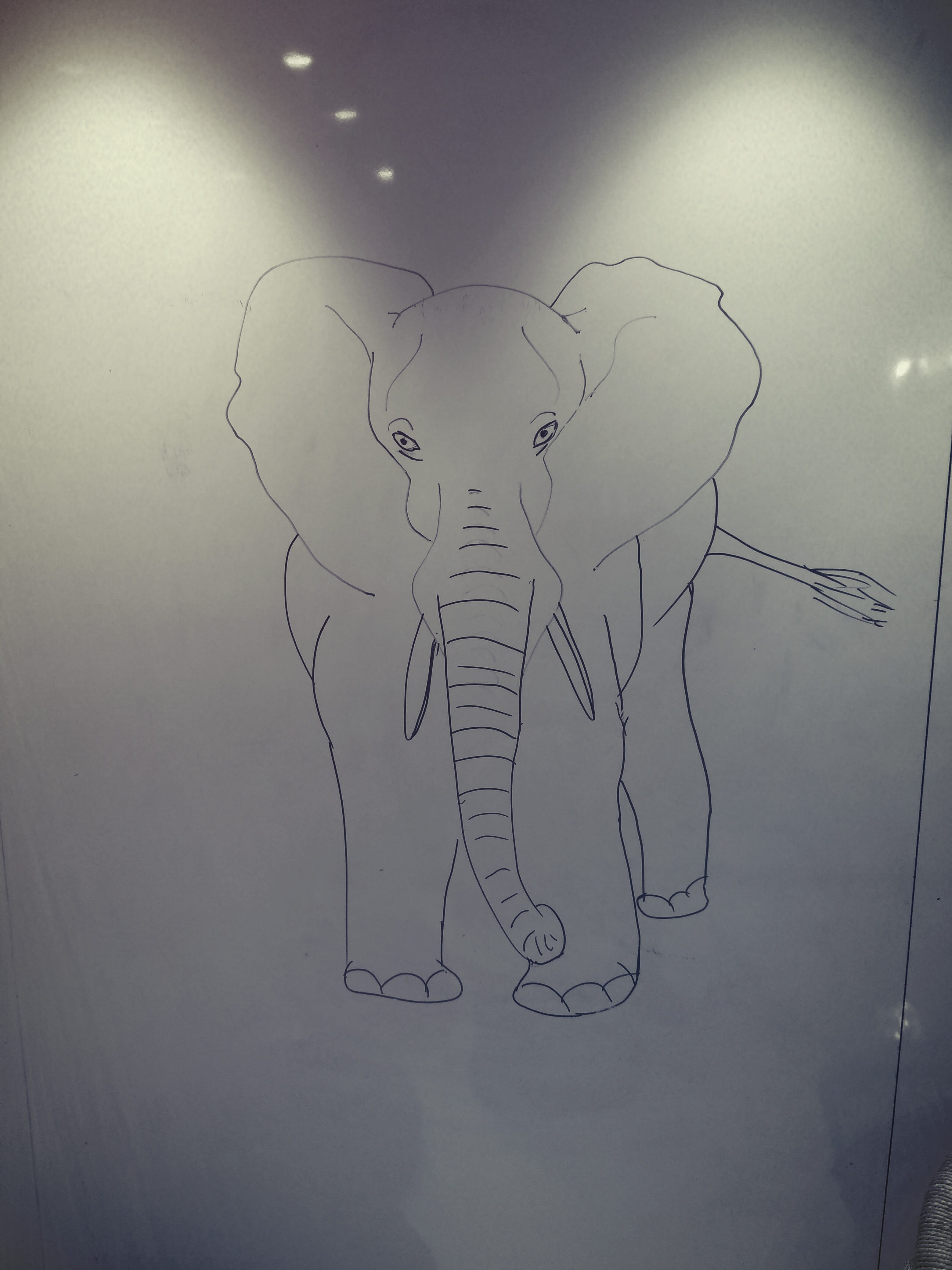 Original elephant drawing and my Day 5